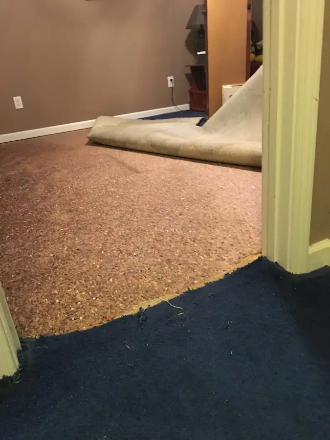 Carpet pad removal revealing water damage during Water Mitigation Services in Punxsutawney