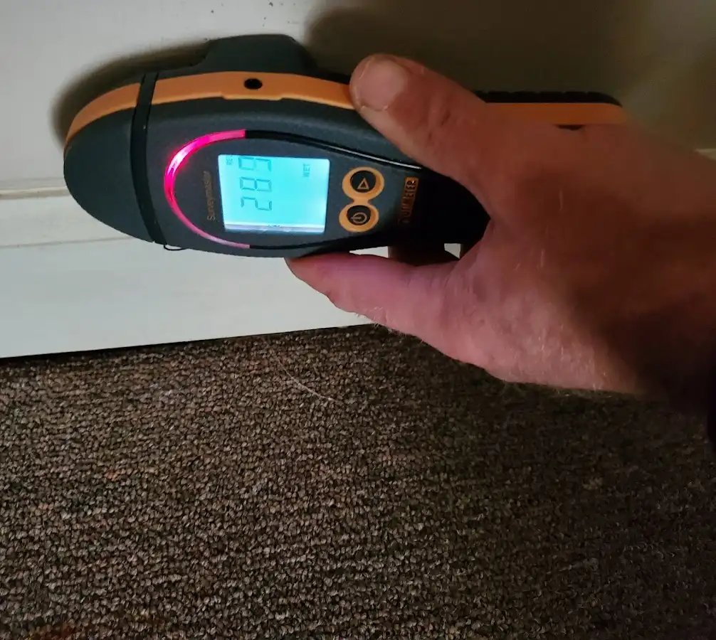 Moisture detection at baseboard during Sewage Cleanup & Sanitation in Punxsutawney